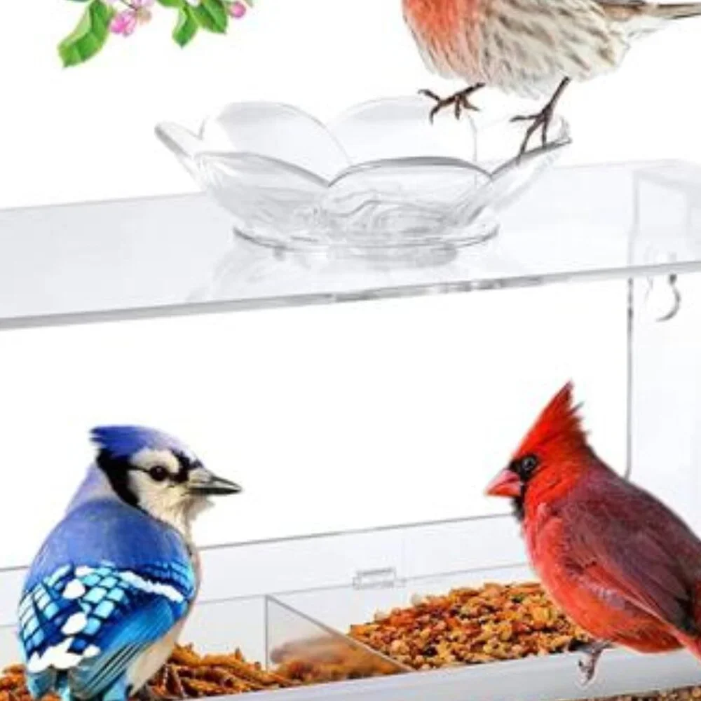 Window Bird Feeder with Non-Marking Self-Adhesive Hooks, Clear and Transparent
